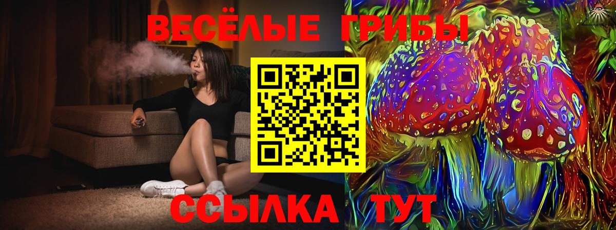 Губкинский  Галлюциногенные грибы ЛСД  Вход с VPN 